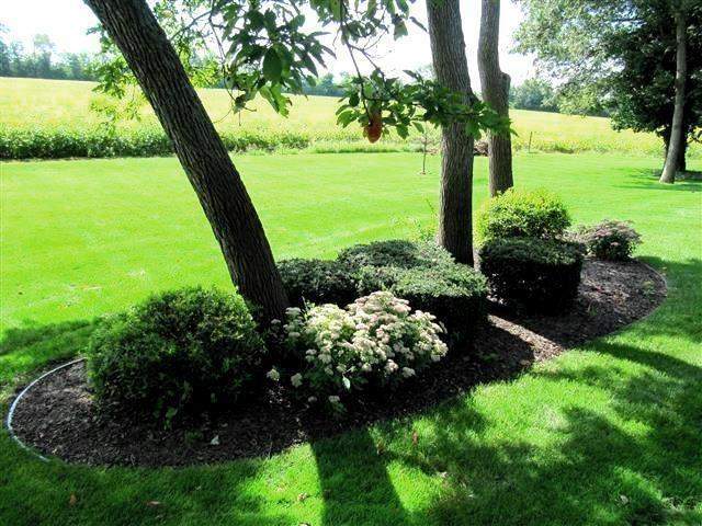 6654 Ridgeview Drive Demotte, Indiana 46310 - Image 83