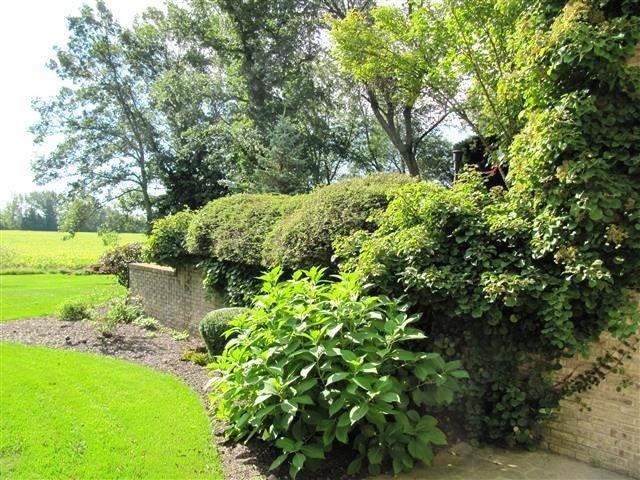 6654 Ridgeview Drive Demotte, Indiana 46310 - Image 87