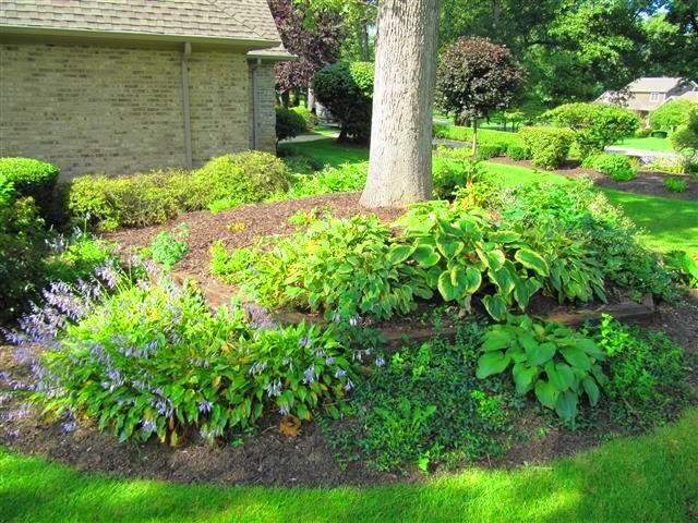 6654 Ridgeview Drive Demotte, Indiana 46310 - Image 89