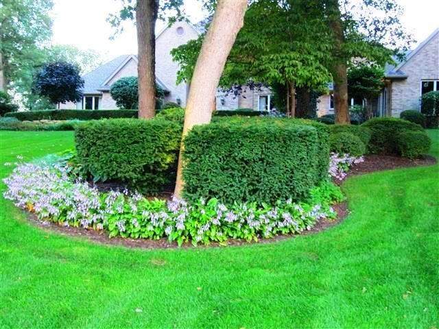 6654 Ridgeview Drive Demotte, Indiana 46310 - Image 96