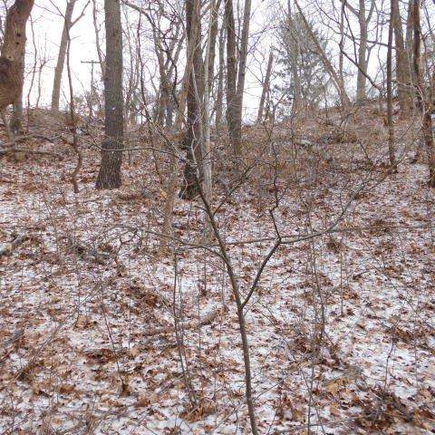 98 Ogden Road Portage, Indiana 46368 - Image 2