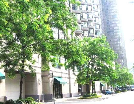401 E Ontario Street #1405 Chicago, Illinois 60611 - Image 1