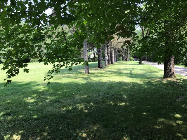 1047 Plank Road Naperville, Illinois 60563 - Image 21