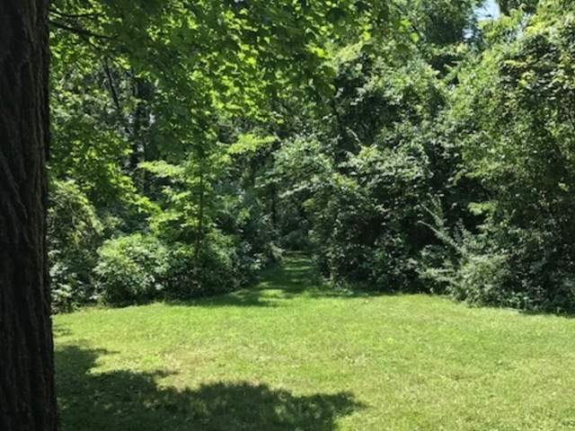 1047 Plank Road Naperville, Illinois 60563 - Image 25