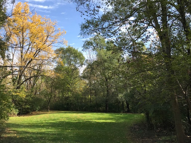 1047 Plank Road Naperville, Illinois 60563 - Image 41