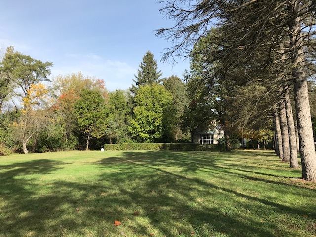 1047 Plank Road Naperville, Illinois 60563 - Image 55