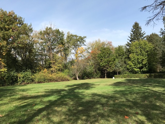 1047 Plank Road Naperville, Illinois 60563 - Image 56