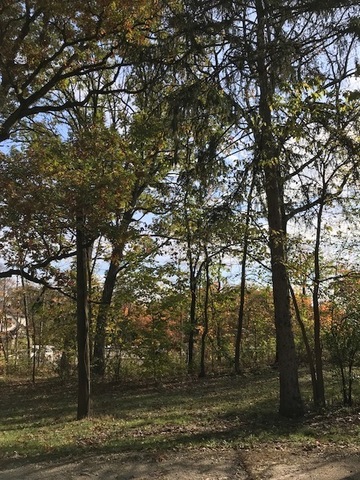 1047 Plank Road Naperville, Illinois 60563 - Image 65