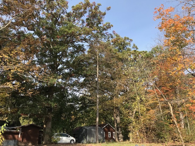 1047 Plank Road Naperville, Illinois 60563 - Image 69