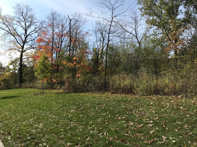 1047 Plank Road Naperville, Illinois 60563 - Image 75