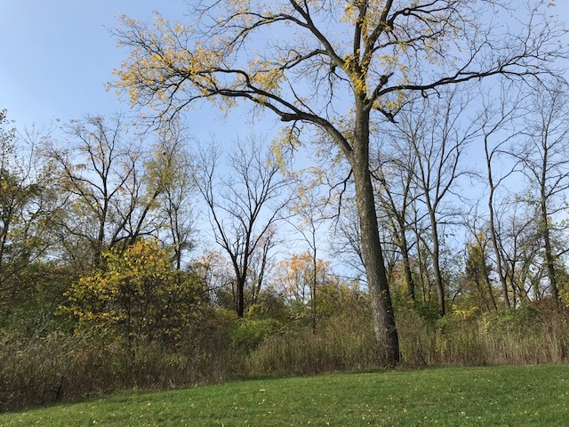 1047 Plank Road Naperville, Illinois 60563 - Image 76