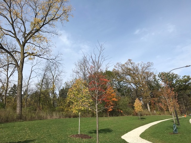 1047 Plank Road Naperville, Illinois 60563 - Image 79
