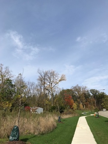 1047 Plank Road Naperville, Illinois 60563 - Image 80