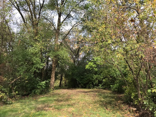 1047 Plank Road Naperville, Illinois 60563 - Image 86