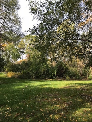 1047 Plank Road Naperville, Illinois 60563 - Image 88