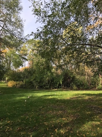 1047 Plank Road Naperville, Illinois 60563 - Image 89
