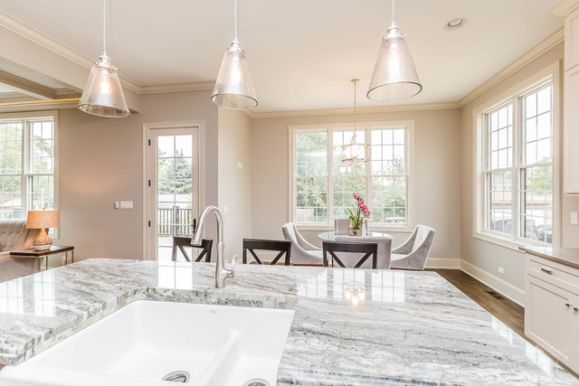 245 N Berteau Avenue Elmhurst, Illinois 60126 - Image 113