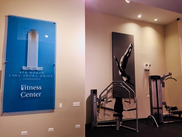 474 N Lake Shore Drive #4602 Chicago, Illinois 60611 - Image 16