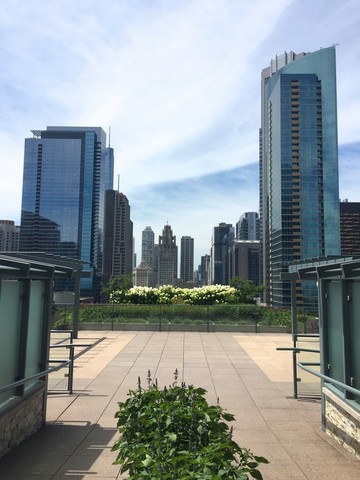 474 N Lake Shore Drive #4602 Chicago, Illinois 60611 - Image 19