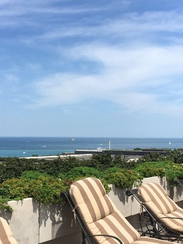 474 N Lake Shore Drive #4602 Chicago, Illinois 60611 - Image 21
