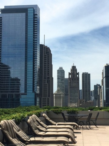 474 N Lake Shore Drive #4602 Chicago, Illinois 60611 - Image 22