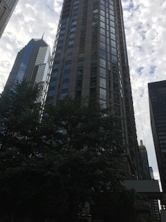 222 N Columbus Drive #1107 Chicago, Illinois 60601 - Image 1