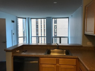222 N Columbus Drive #1107 Chicago, Illinois 60601 - Image 12