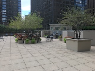 222 N Columbus Drive #1107 Chicago, Illinois 60601 - Image 6