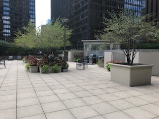 222 N Columbus Drive #1107 Chicago, Illinois 60601 - Image 7