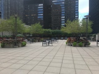 222 N Columbus Drive #1107 Chicago, Illinois 60601 - Image 8