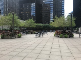 222 N Columbus Drive #1107 Chicago, Illinois 60601 - Image 9