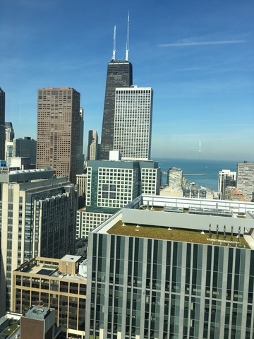 600 N Fairbanks Court #1604 Chicago, Illinois 60611 - Image 33