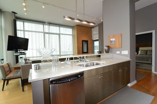 123 S Green Street #201B Chicago, Illinois 60607 - Image 4