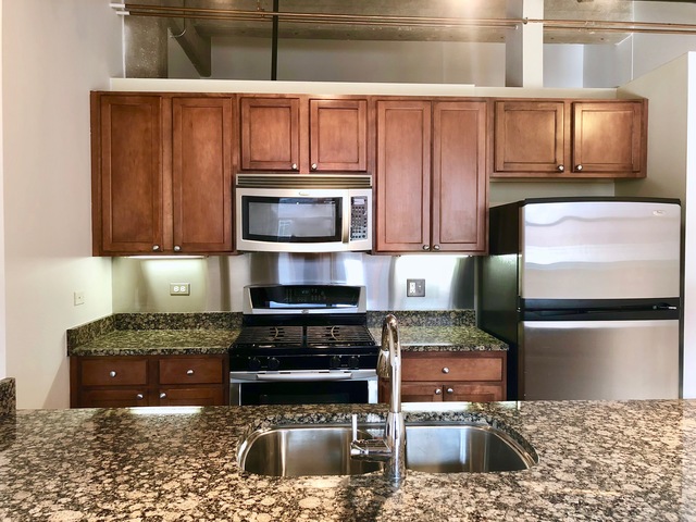 1735 N Paulina Street #402 Chicago, Illinois 60622 - Image 3
