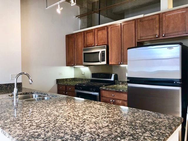 1735 N Paulina Street #402 Chicago, Illinois 60622 - Image 4