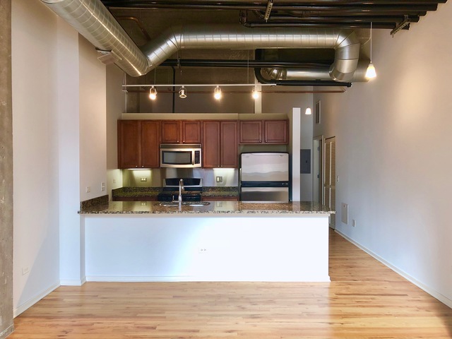 1735 N Paulina Street #402 Chicago, Illinois 60622 - Image 6