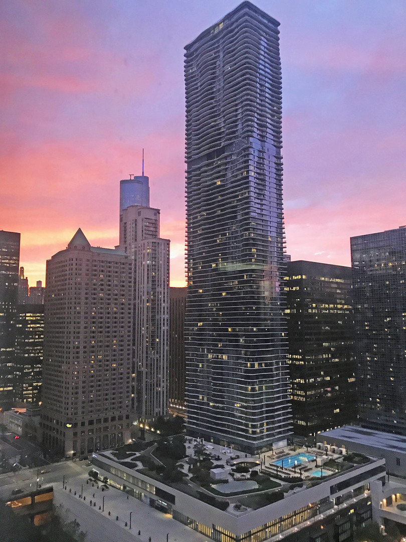 360 E Randolph Street #2905 Chicago, Illinois 60601 - Image 16