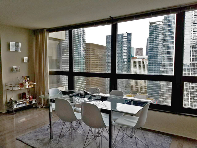 360 E Randolph Street #2905 Chicago, Illinois 60601 - Image 7