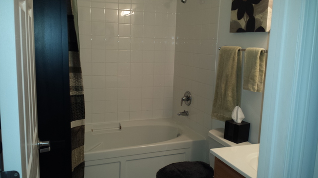 8 W Monroe Street #1206 Chicago, Illinois 60603 - Image 11