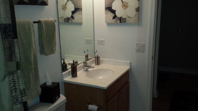 8 W Monroe Street #1206 Chicago, Illinois 60603 - Image 13
