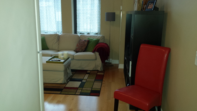 8 W Monroe Street #1206 Chicago, Illinois 60603 - Image 16