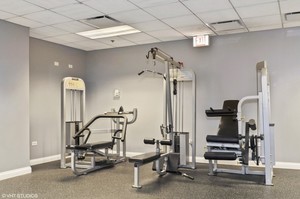 8 W Monroe Street #1206 Chicago, Illinois 60603 - Image 19