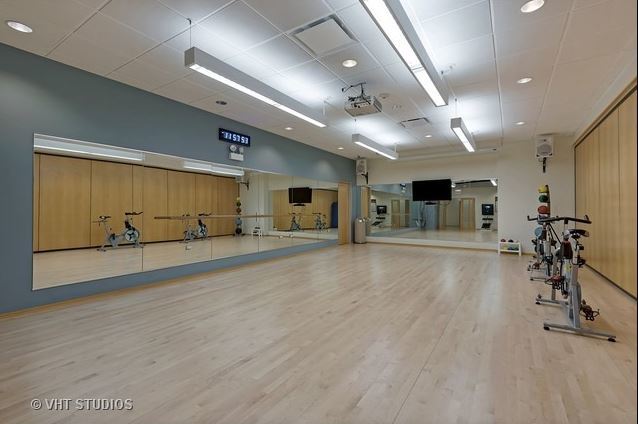 505 N Lake Shore Drive #4009 Chicago, Illinois 60611 - Image 14