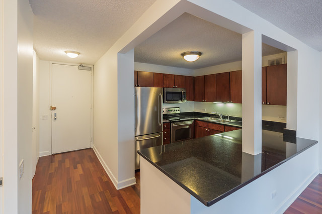 30 E Huron Street #2310 Chicago, Illinois 60611 - Image 4