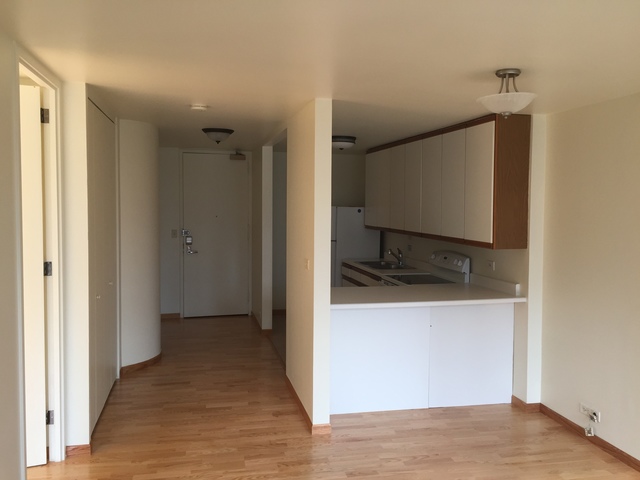 505 N Lake Shore Drive #1202 Chicago, Illinois 60611 - Image 3