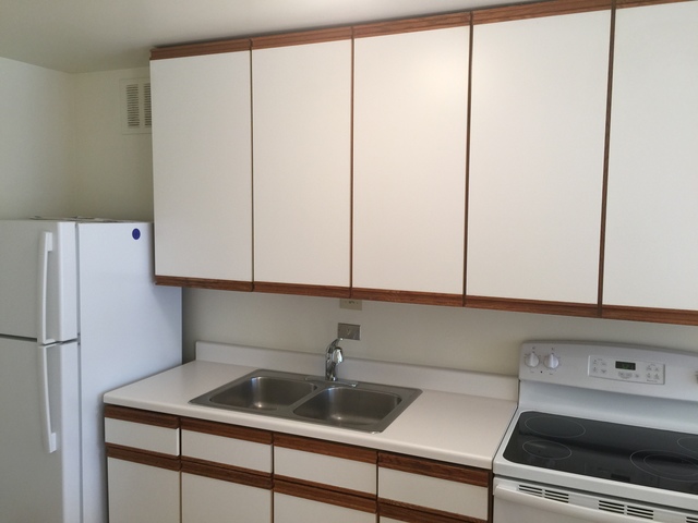 505 N Lake Shore Drive #1202 Chicago, Illinois 60611 - Image 4