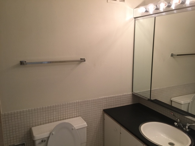 505 N Lake Shore Drive #1202 Chicago, Illinois 60611 - Image 8