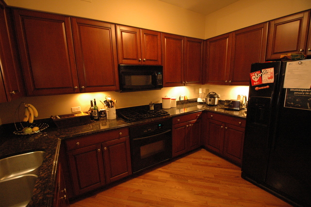 25 E Superior Street #606 Chicago, Illinois 60611 - Image 4