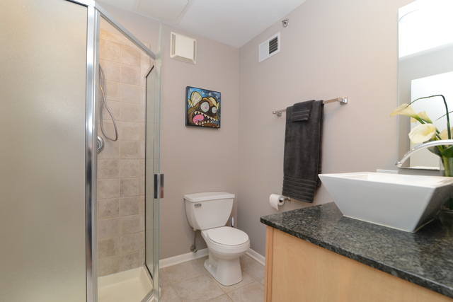2001 S Calumet Avenue #201 Chicago, Illinois 60616 - Image 11