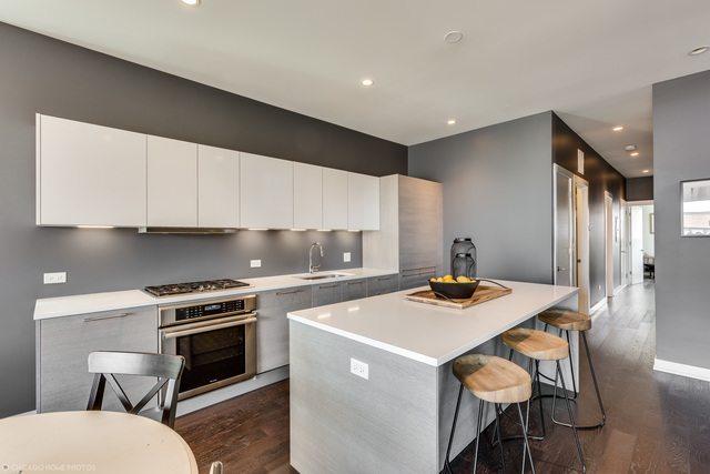 1545 W Montana Street #301 Chicago, Illinois 60614 - Image 3